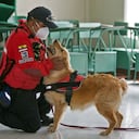 Miembros humanos y caninos de la Cruz Roja, Bomberos, Ejército y Marina de Ecuador hacen parte del primer curso experimental para olfatear el covid-19