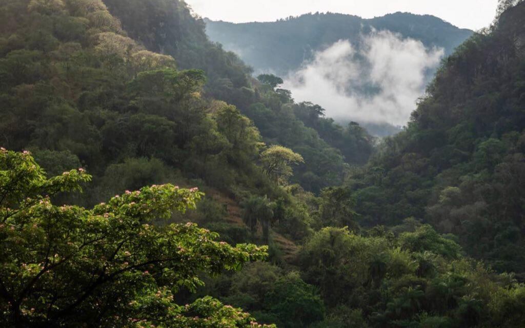 Bancos de hábitat (USO UNICO)