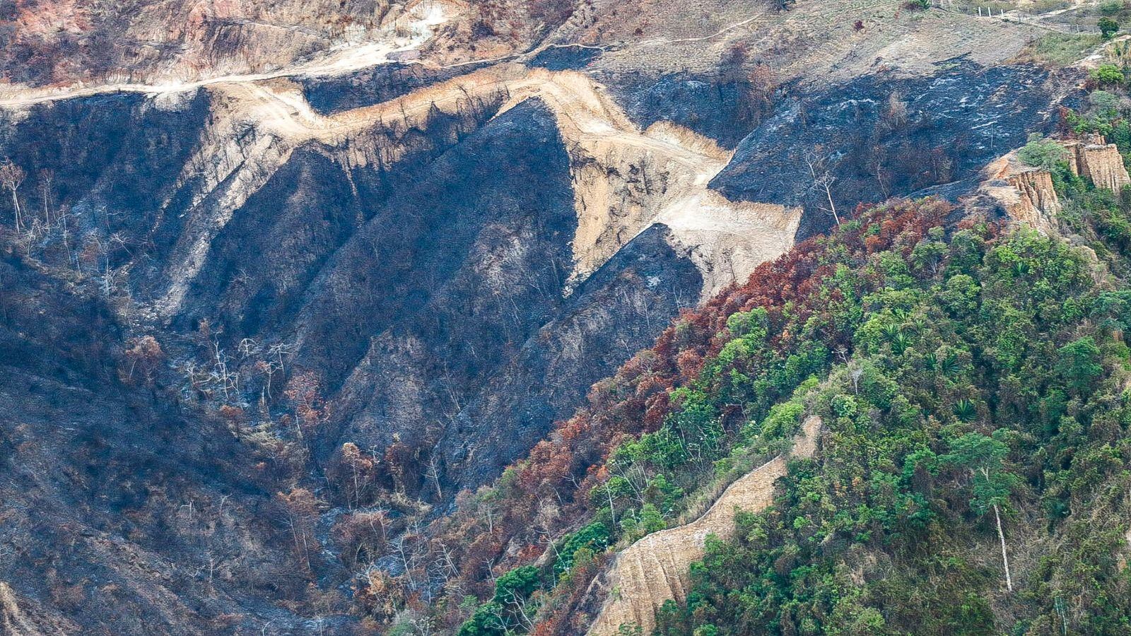 Los estragos que dejan incendios en el departamento de Santander.