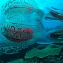 La medusa tiene el tamaño de un balón de fútbol, además de ser considerada como muy rara.