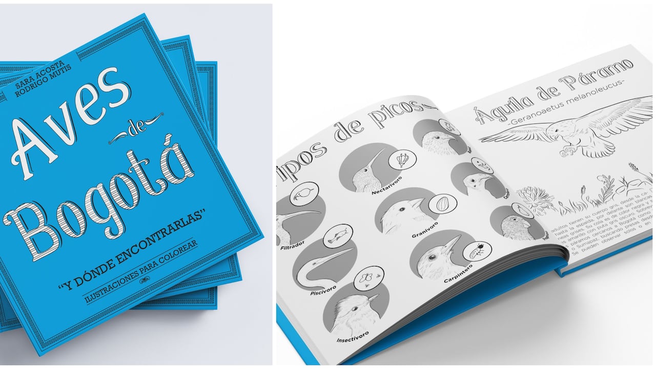 El libro incluye especies como el águila de páramo, la tingua bogotana, el cucarachero de pantano, la guala sabanera o el loro cascabelito.