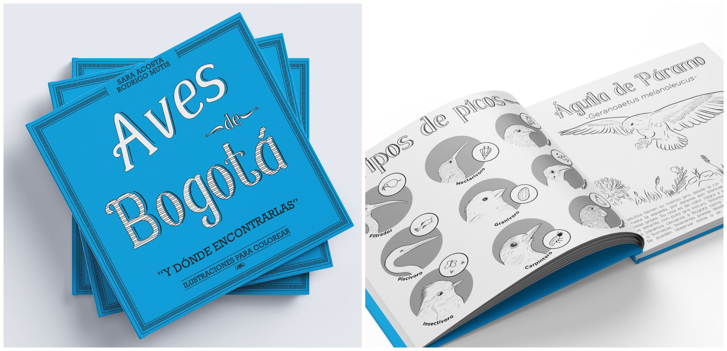 El libro incluye especies como el águila de páramo, la tingua bogotana, el cucarachero de pantano, la guala sabanera o el loro cascabelito.