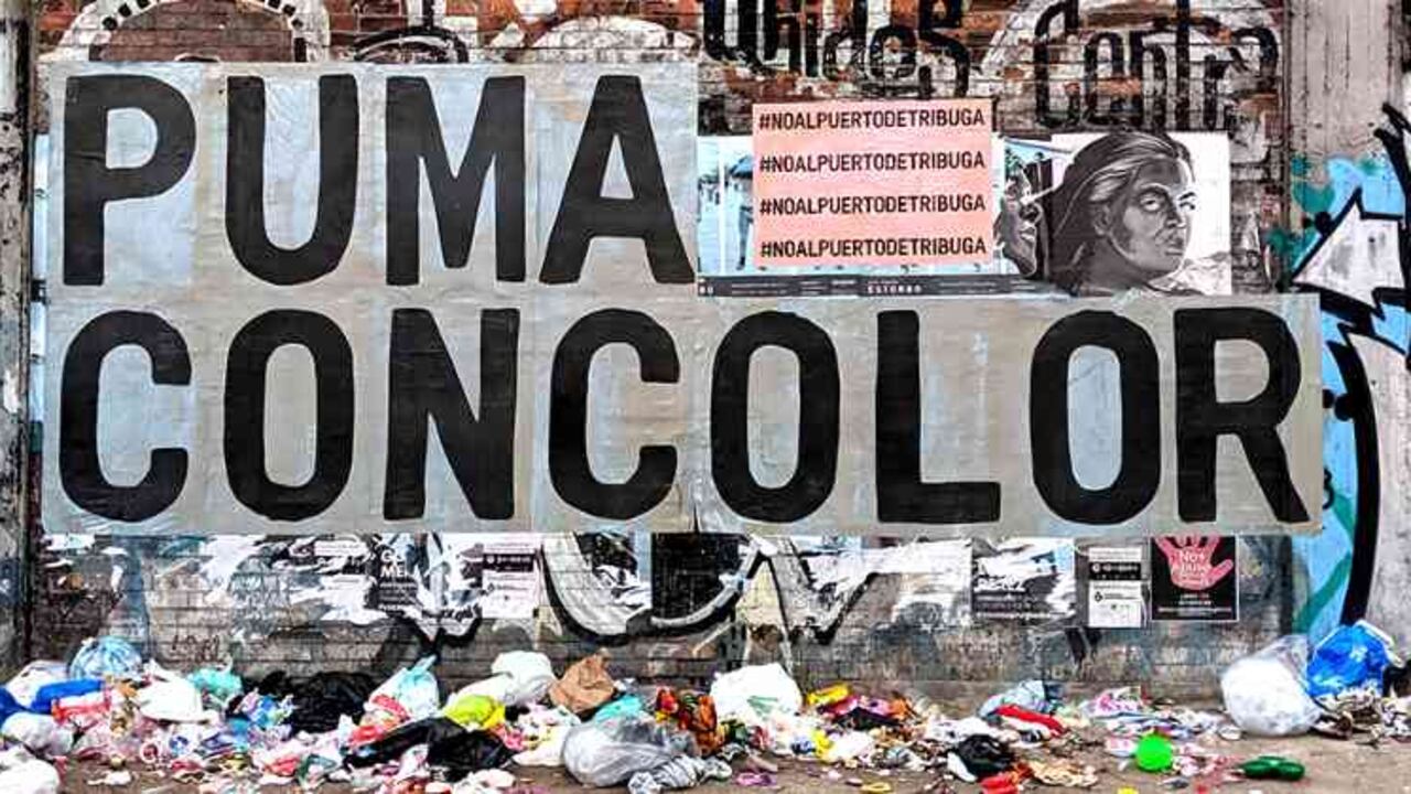 Abusaid ha querido fijar en el paisaje urbano los nombres científicos de la vida que depende de un lugar que él considera sagrado por “su fauna, su flora, su gente y sus ancestros”. | Cortesía del artista