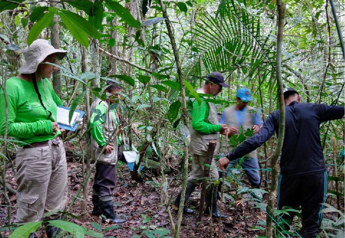 red de monitoreo comunitario en Amazonia