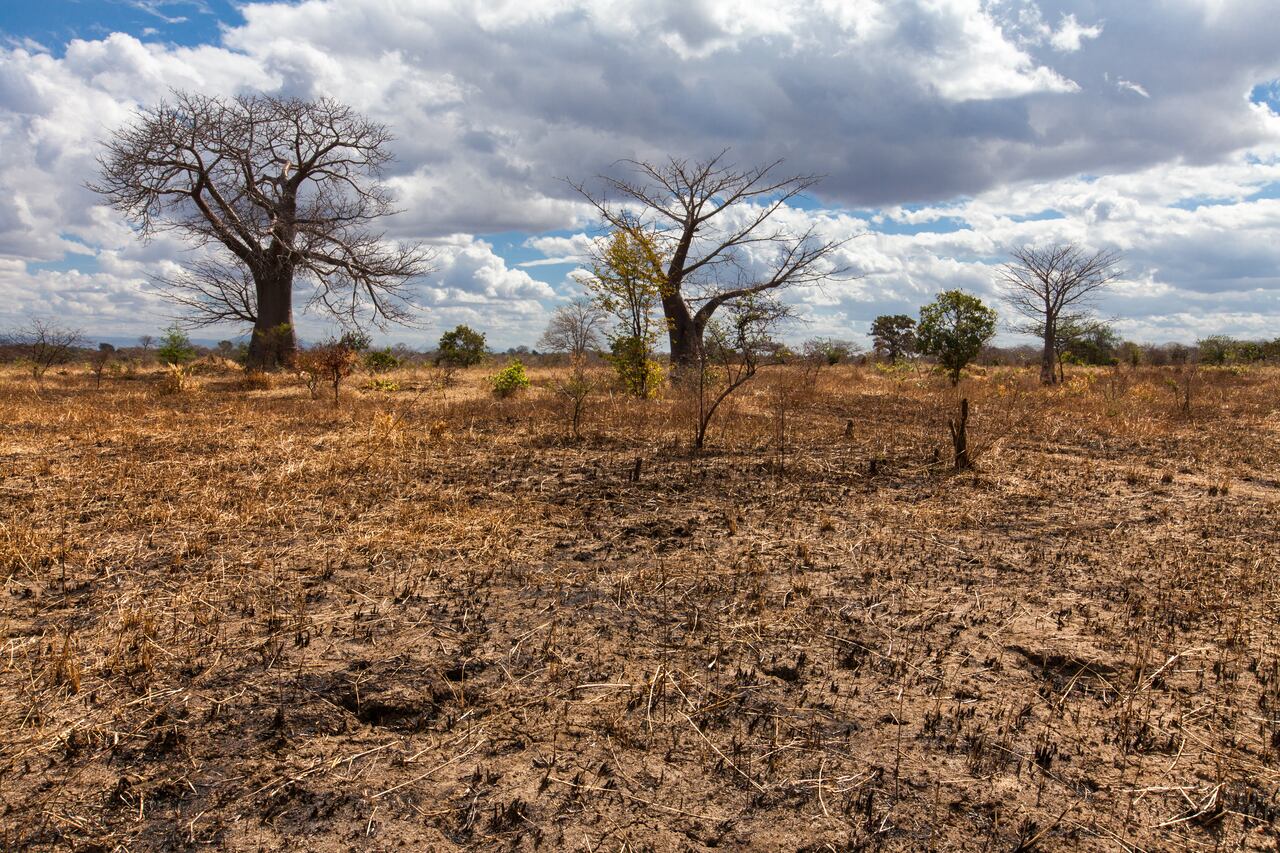 Fenómeno de El Niño