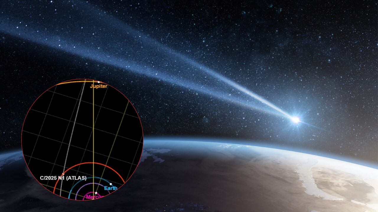 La ruta que sigue 3I/ATLAS evidenció que la gravedad del Sol apenas modifica su destino.