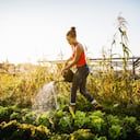 La discusión en torno a la eliminación del 29 de febrero también ha destacado la importancia de la precisión temporal en campos como la astronomía y la meteorología.