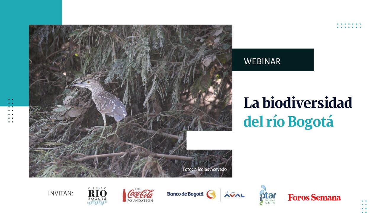 La biodiversidad del río Bogotá