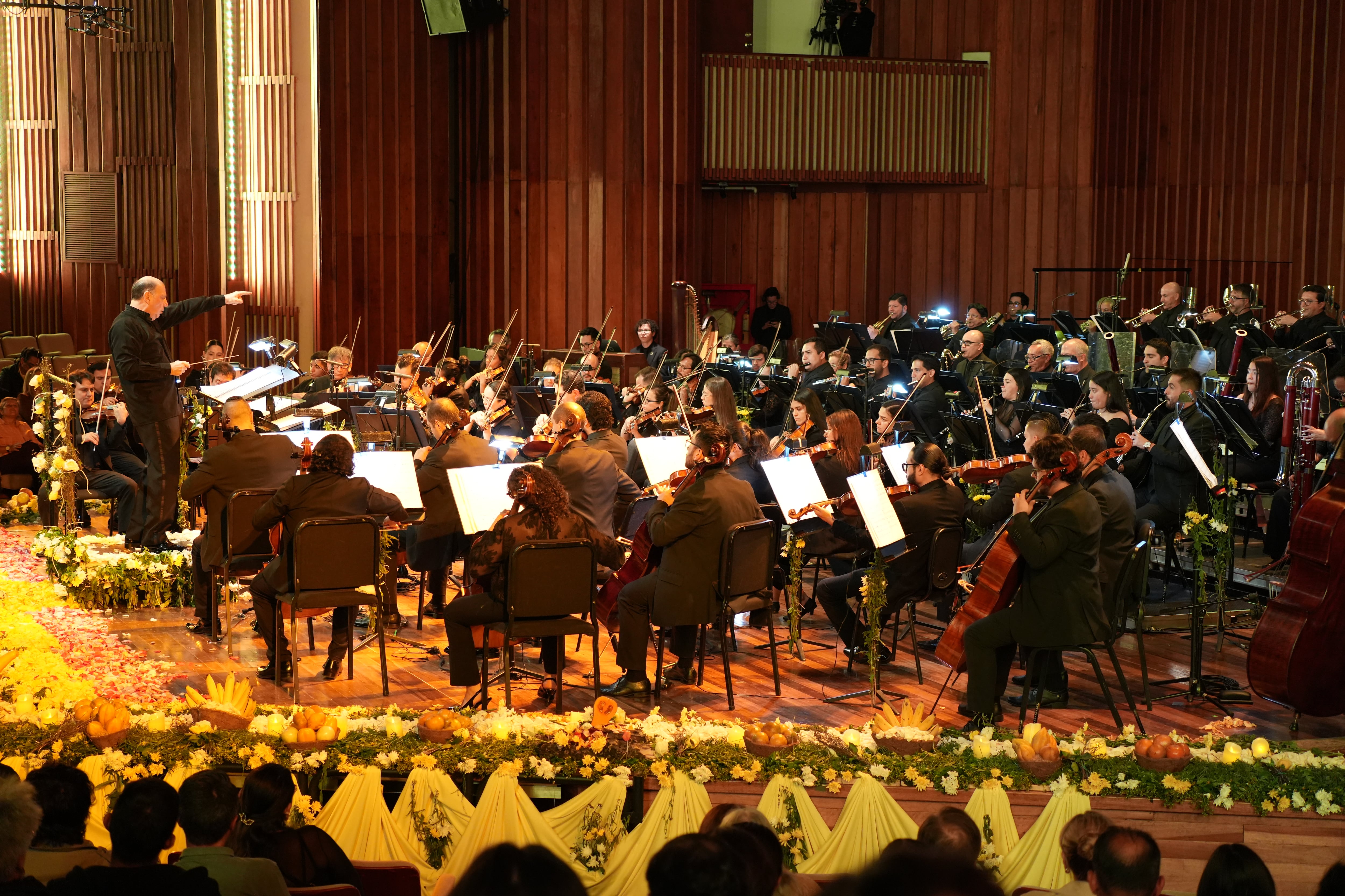 Orquesta Sinfónica Nacional de Colombia