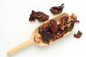 Esta planta medicinal tiene excelentes beneficios para el organismo