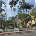 La Plaza de Cayzedo de Cali, está ubicada en el centro de la capital del Valle.