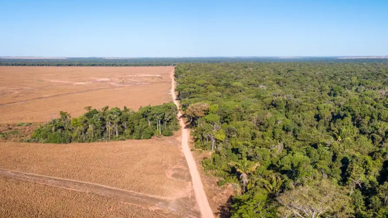 Deforestación en el estado brasileño de Mato Grosso, en el corazón de la cuenca amazónica.