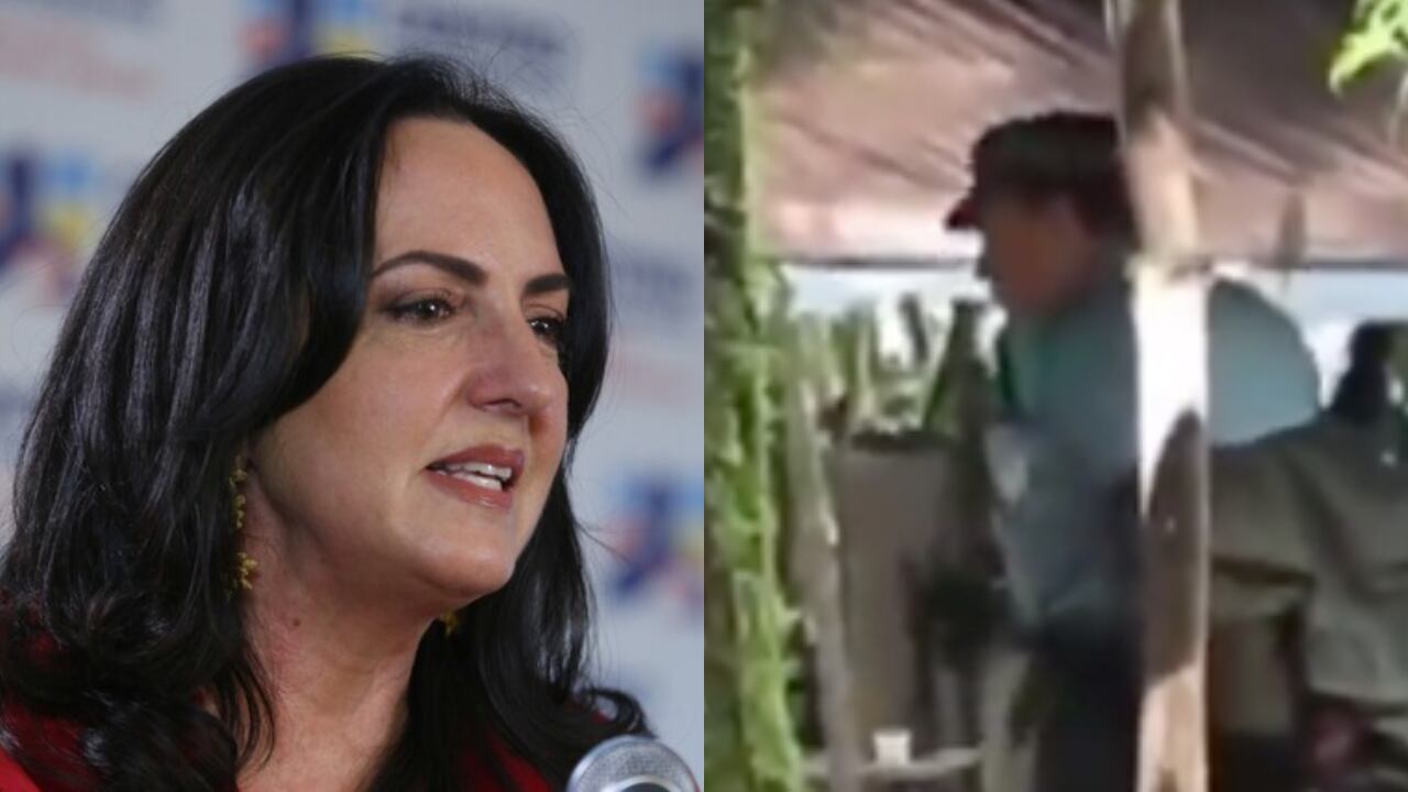 María Fernanda Cabal y Tirofijo