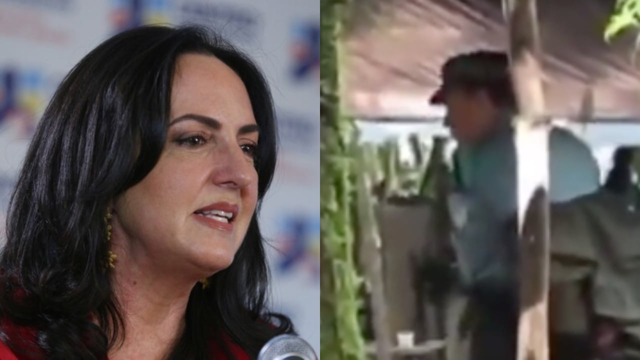 María Fernanda Cabal y alias Tirofijo.