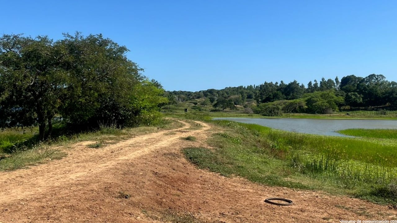 Bien incautado a La Inmaculada