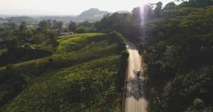 Inversiones en el Eje Cafetero