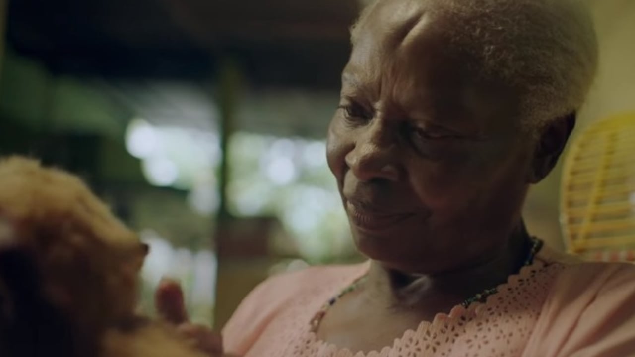 Operación Mayo celebra a las madres de corazón | Inter Rapidísimo 2024.