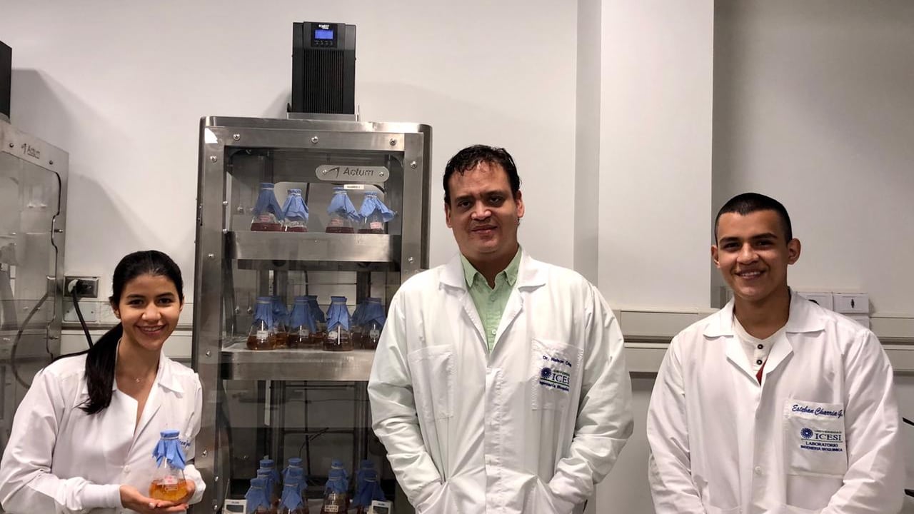 Investigadores de la Universidad Icesi