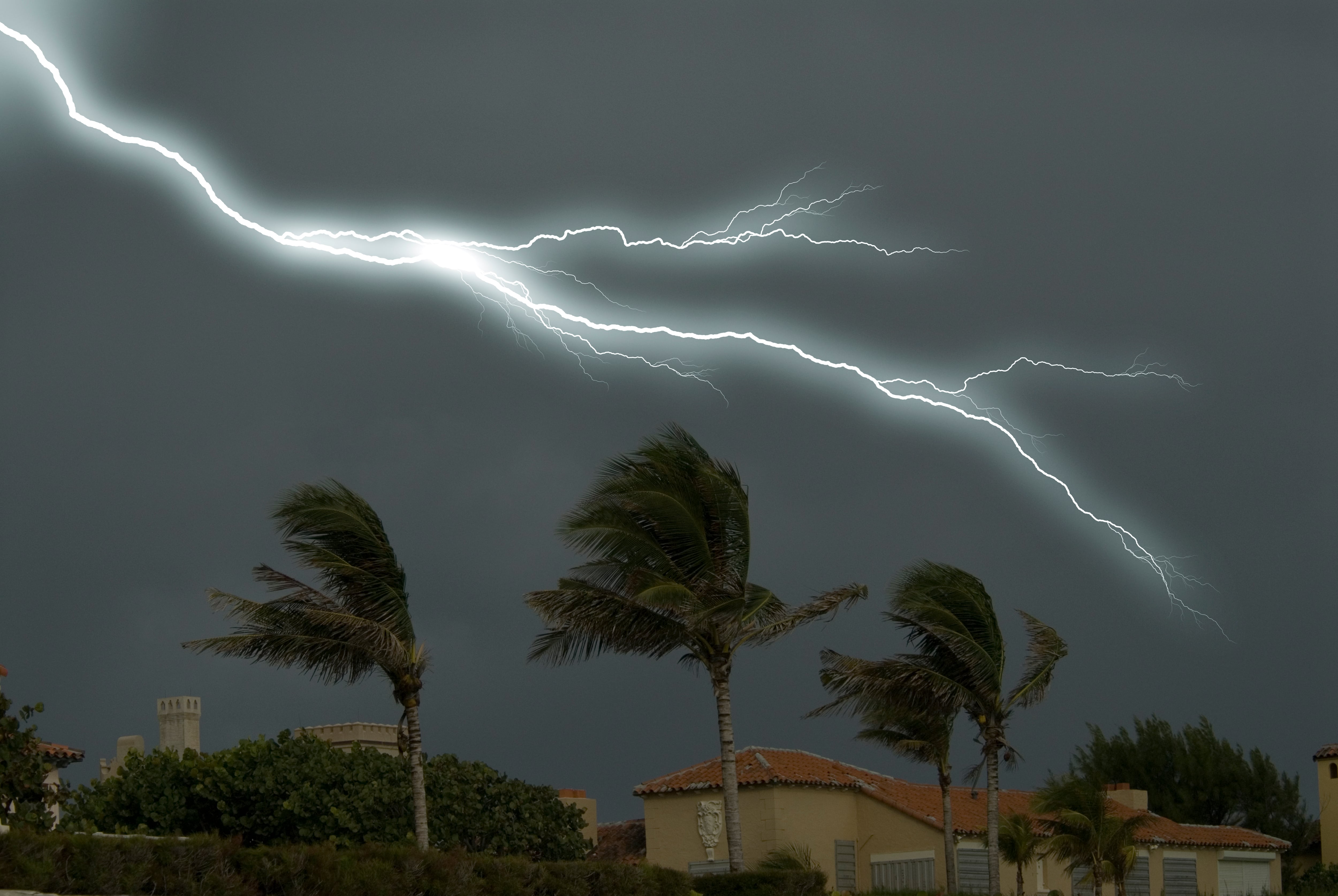 Varios estados del este de EE. UU. se preparan ante la llegada de una tormenta que podría dejar fuertes lluvias y vientos.