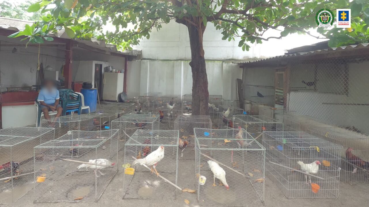 La Fiscalía ocupó con fines de extinción de dominio propiedades de una organización criminal al servicio del narcotráfico.