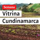 Agricultura y artesanías: un motor de la reactivación económica en Cundinamarca