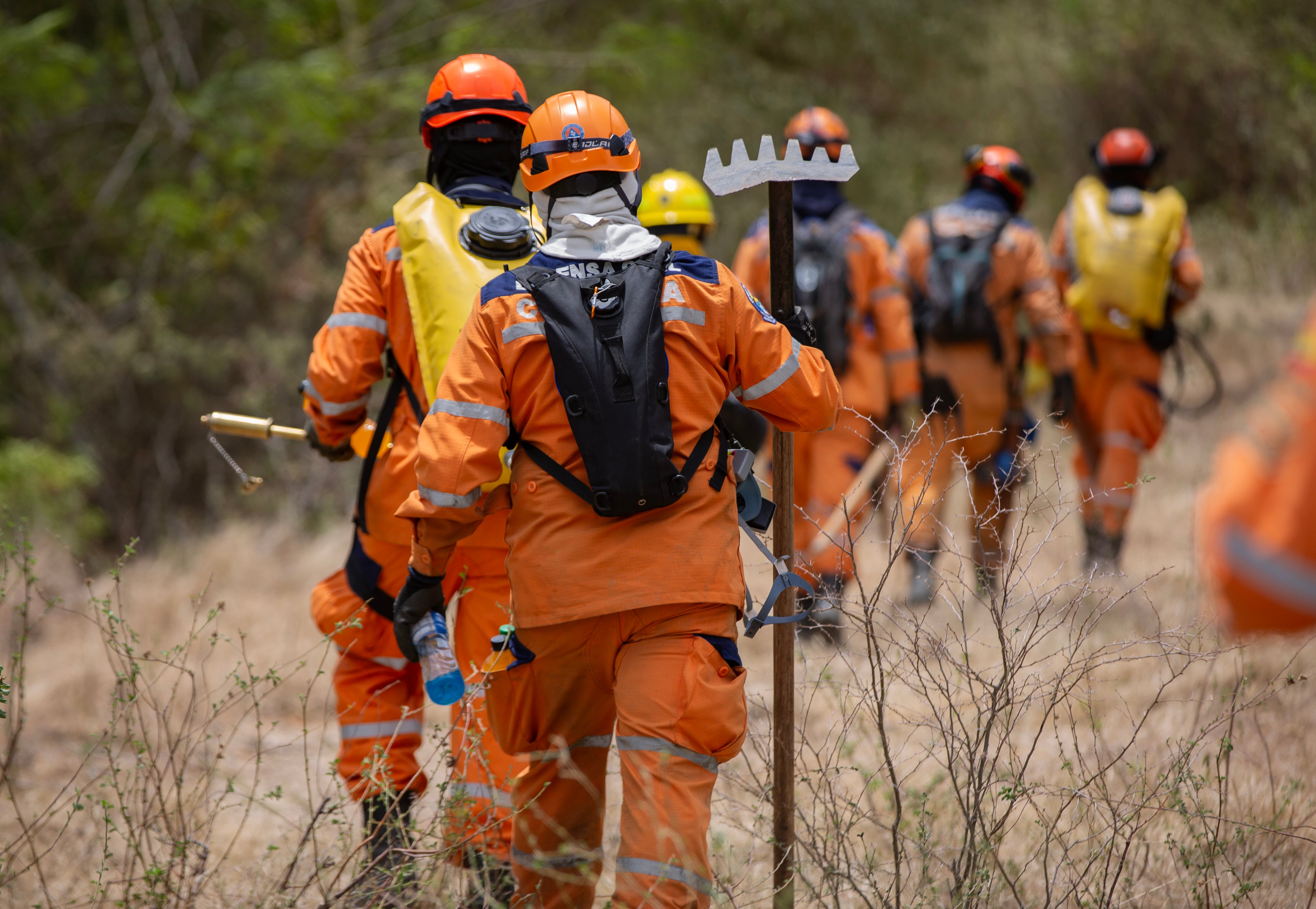 INCENDIOS FORESTALES EN EL DEPARTAMENTO DEL TOLIMA