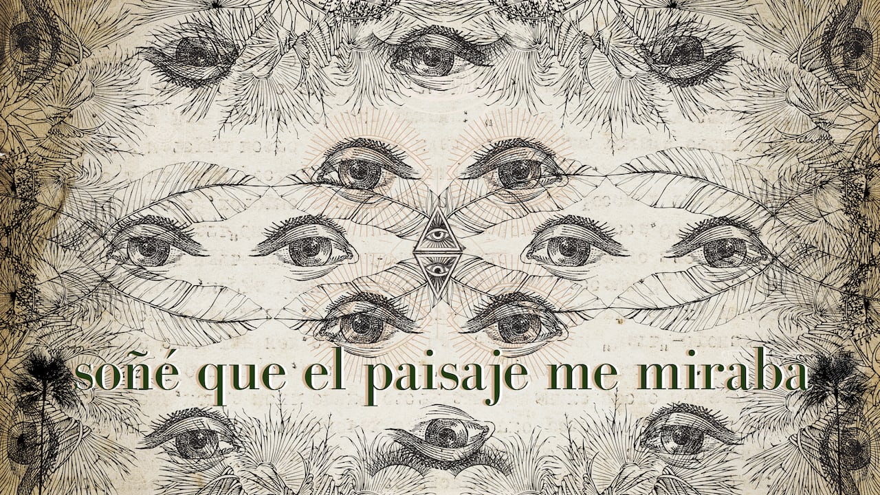 Imagen de la videoinstalación de Jessica Mitrani "Soñé que el paisaje me miraba". Cortesía del MAMBO