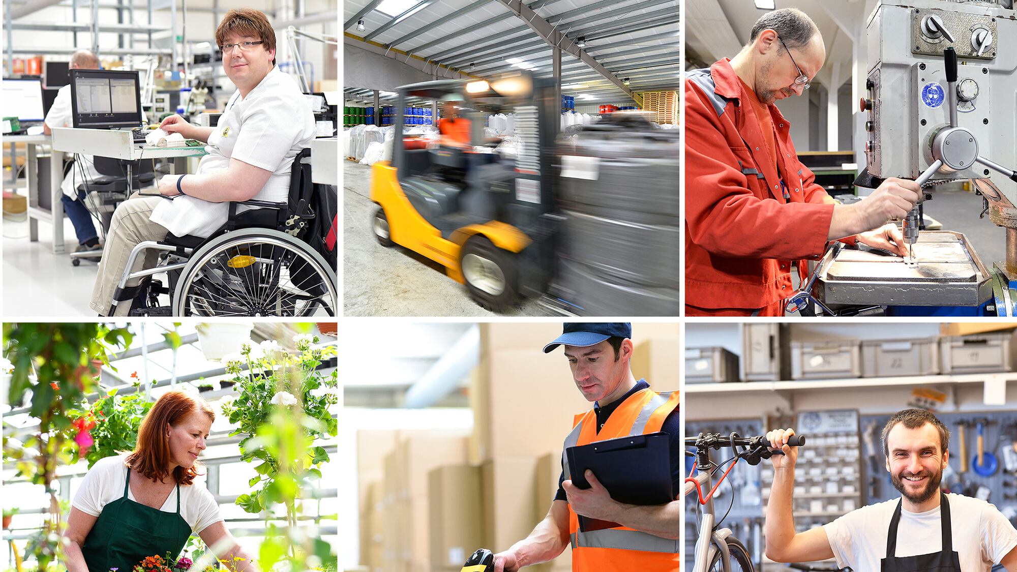 Trabajadores trajo, empleados