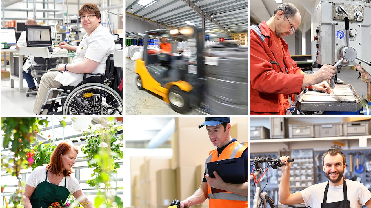 Trabajadores trajo, empleados