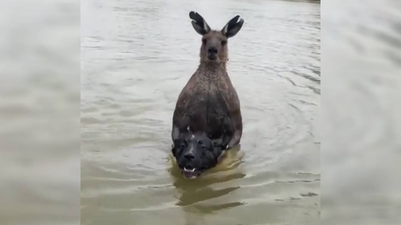 Se desconoce exactamente cuándo ocurrió el episodio.