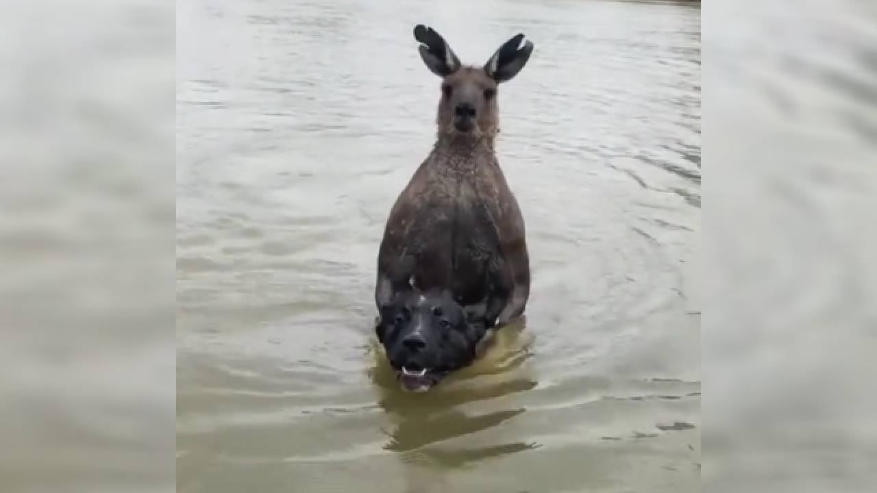 Se desconoce exactamente cuándo ocurrió el episodio.