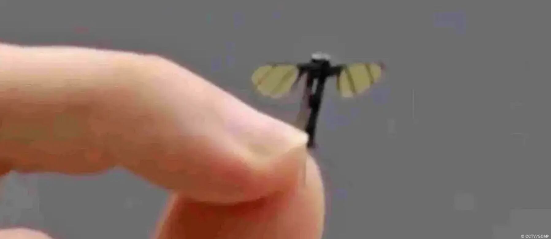 La Universidad Nacional de Tecnología de Defensa reveló un robot espía del tamaño de un mosquito.