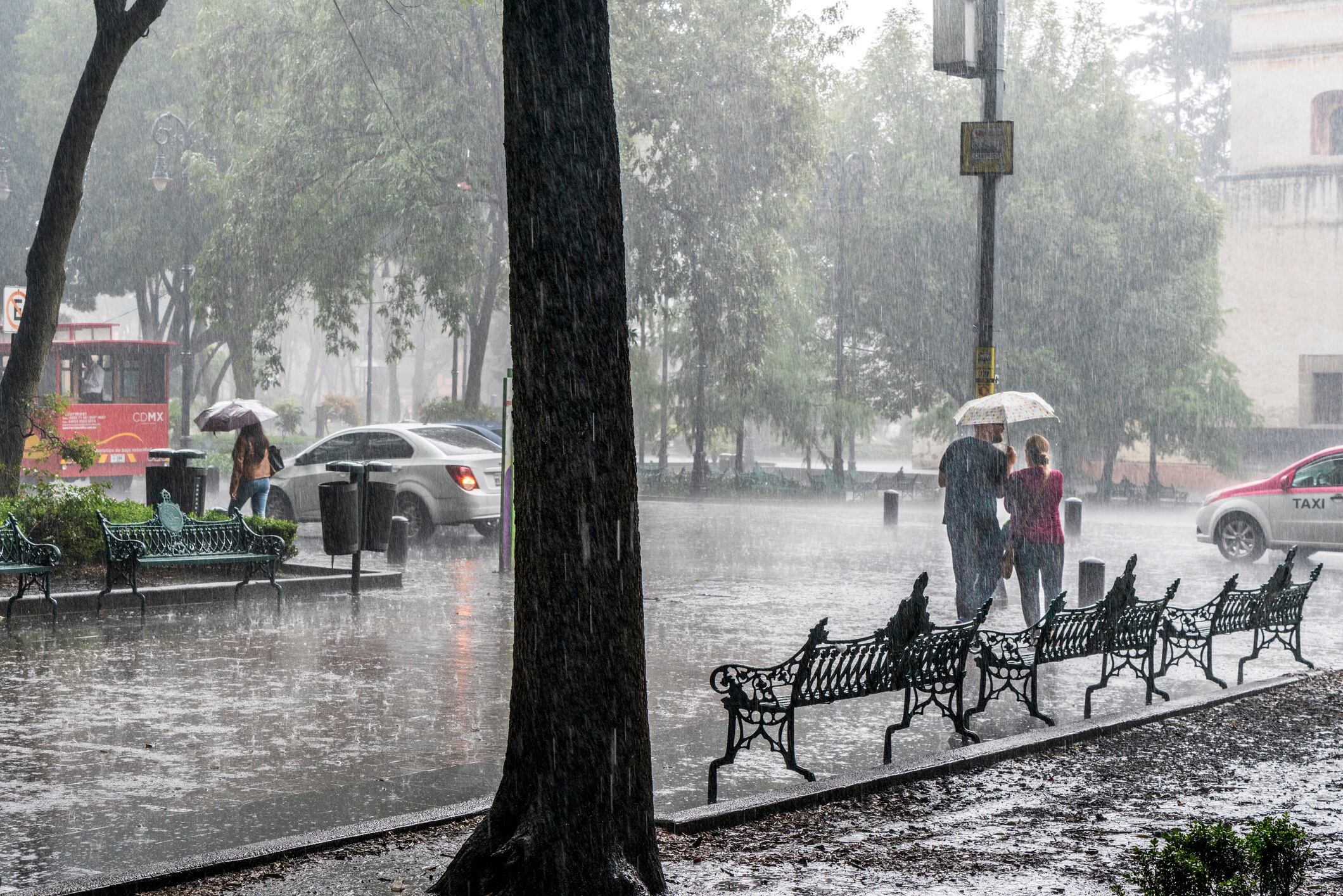 A young loving couple sharing an umbrella in heavy rain in Coyoacán Mexico City
