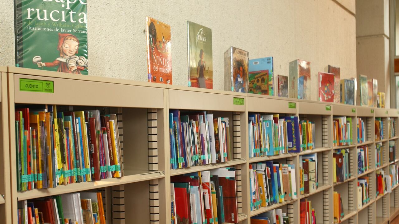 Biblioteca en Bogotá. Foto: Guillermo Torres / Semana