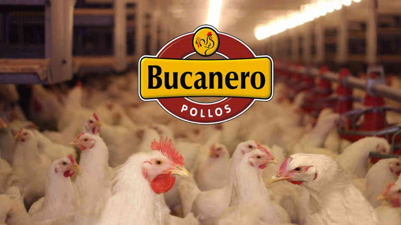 Composición: Dinero