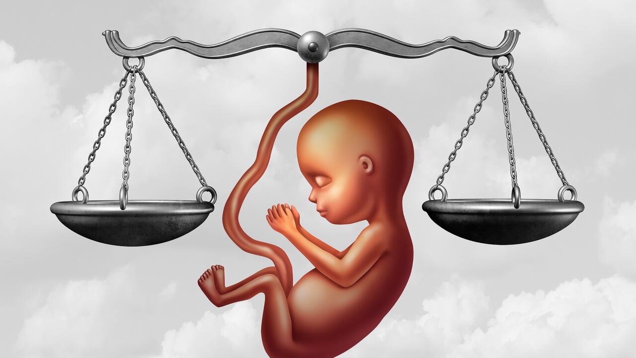 Proyecto de ley sobre el aborto y la ley de derechos del feto y la justicia reproductiva como concepto legal