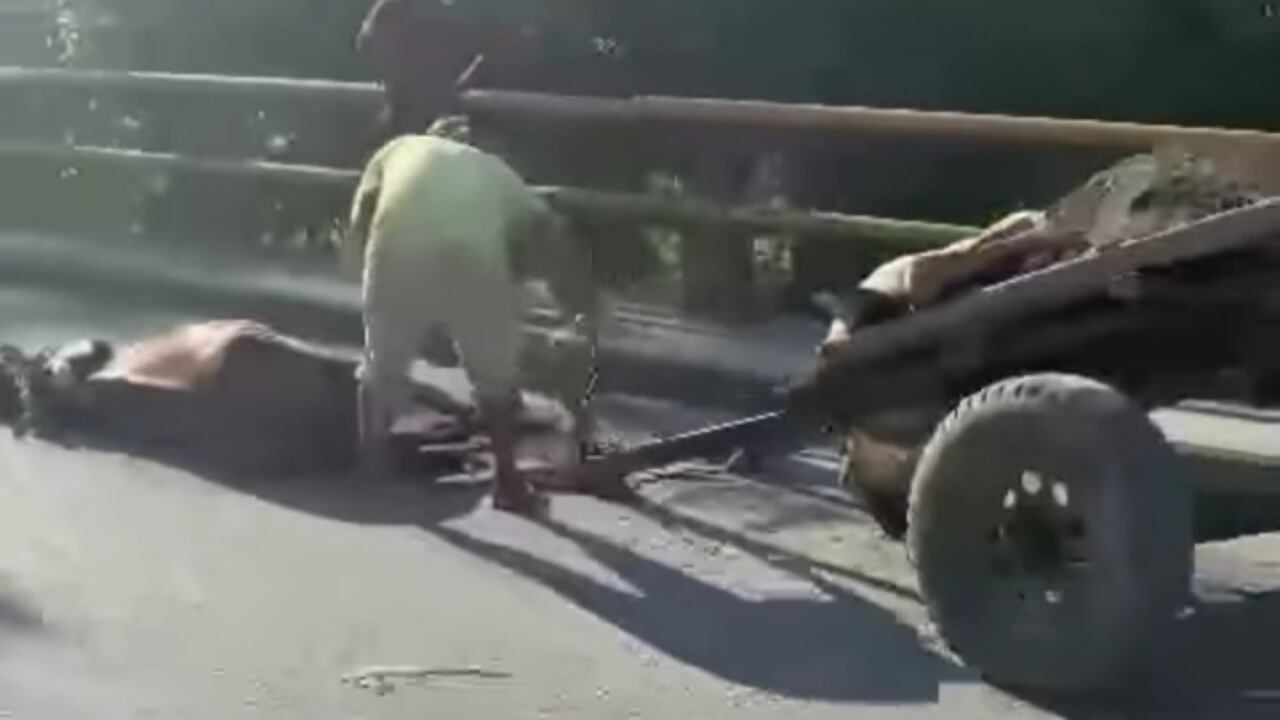 Presunto maltrato animal en Apartadó, Antioquia.