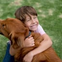 Golden retriver