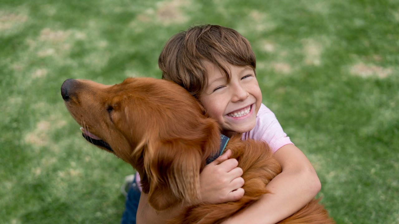 Los golden retriever son de los perros más cariñosos con los niños.