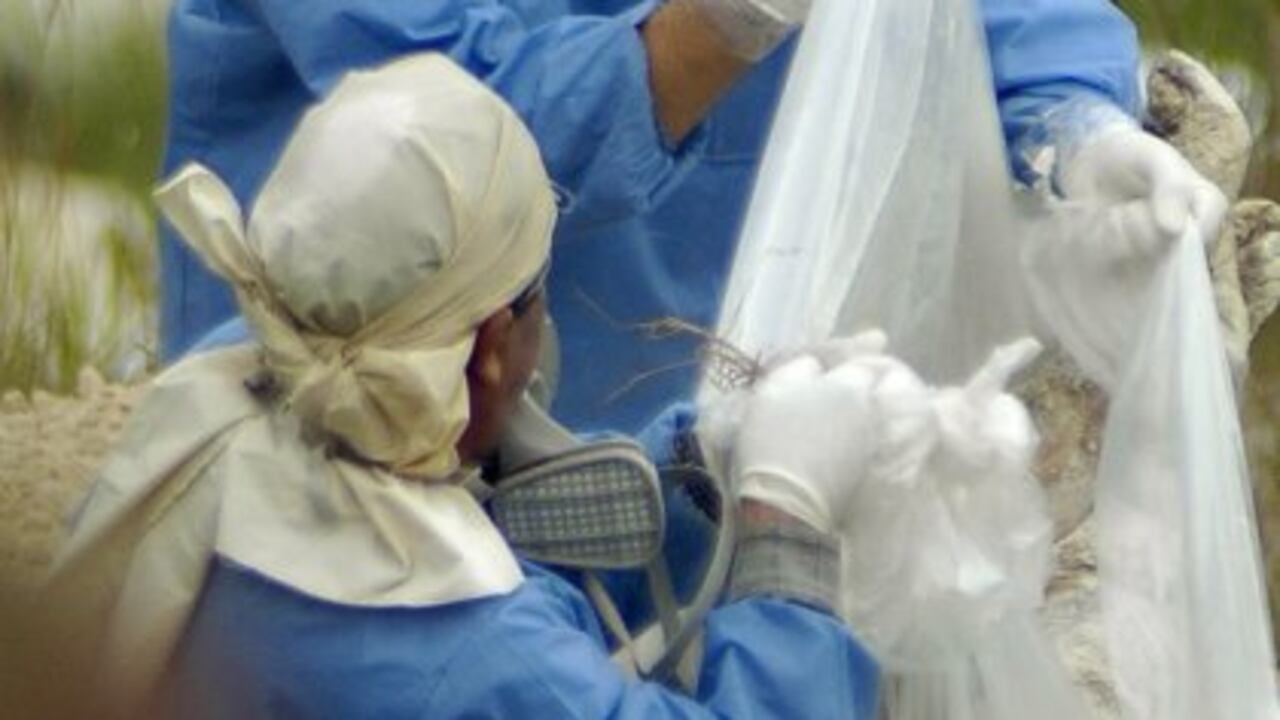 Once jóvenes desaparecieron de Soacha y Bogotá entre enero y agosto de este año. Luego aparecieron como muertos en combate por el Ejército en Ocaña, Norte de Santander.