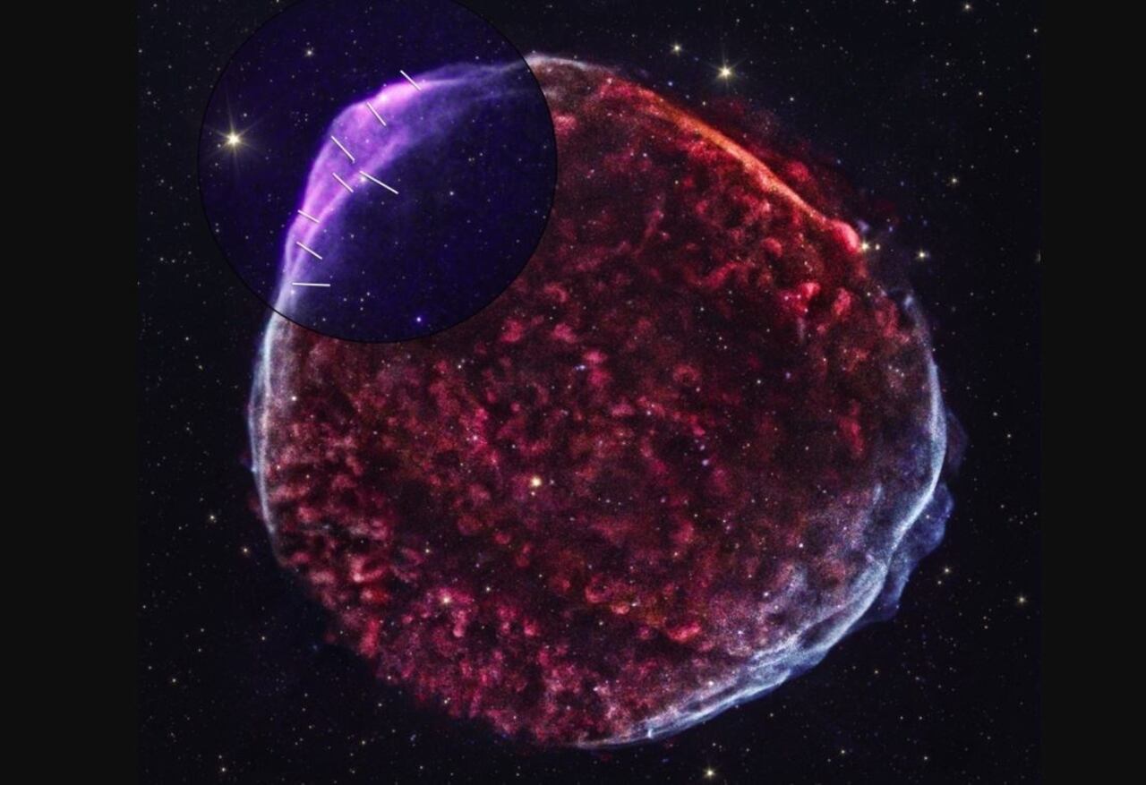 Imagen del SN 1006 remanente de supernova combina datos del explorador de polimetría de rayos X de imágenes de la NASA y el Observatorio de Rayos X de Chandra de la NASA.
