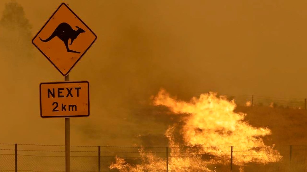 Incendio forestal en Australia