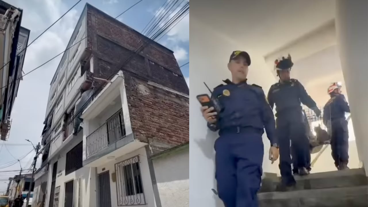 Rescate de un gato en Pereira, 45 días después del terremoto.