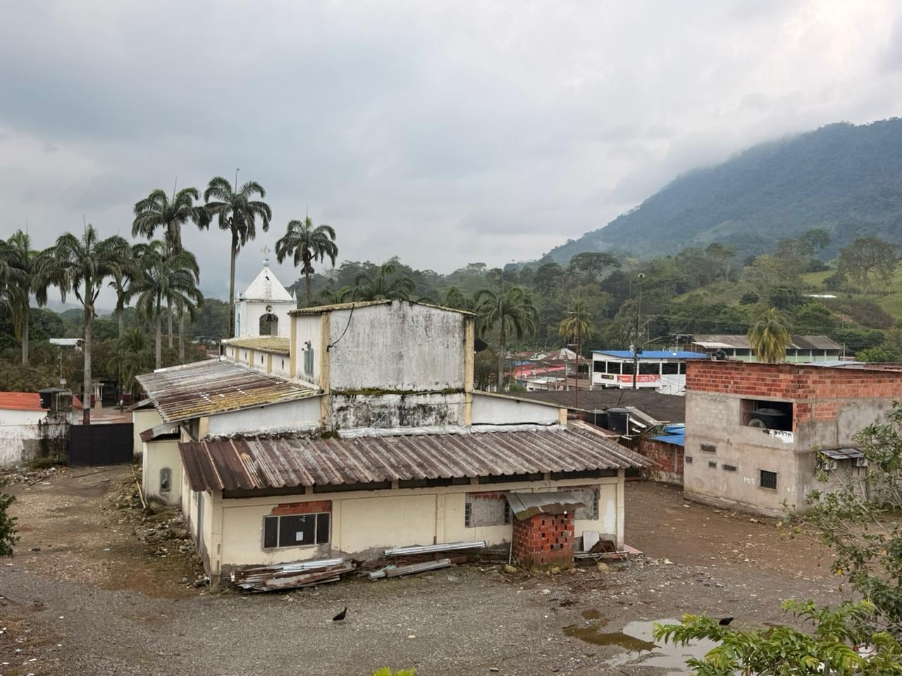 Pacelli, corregimiento de Tibú.
