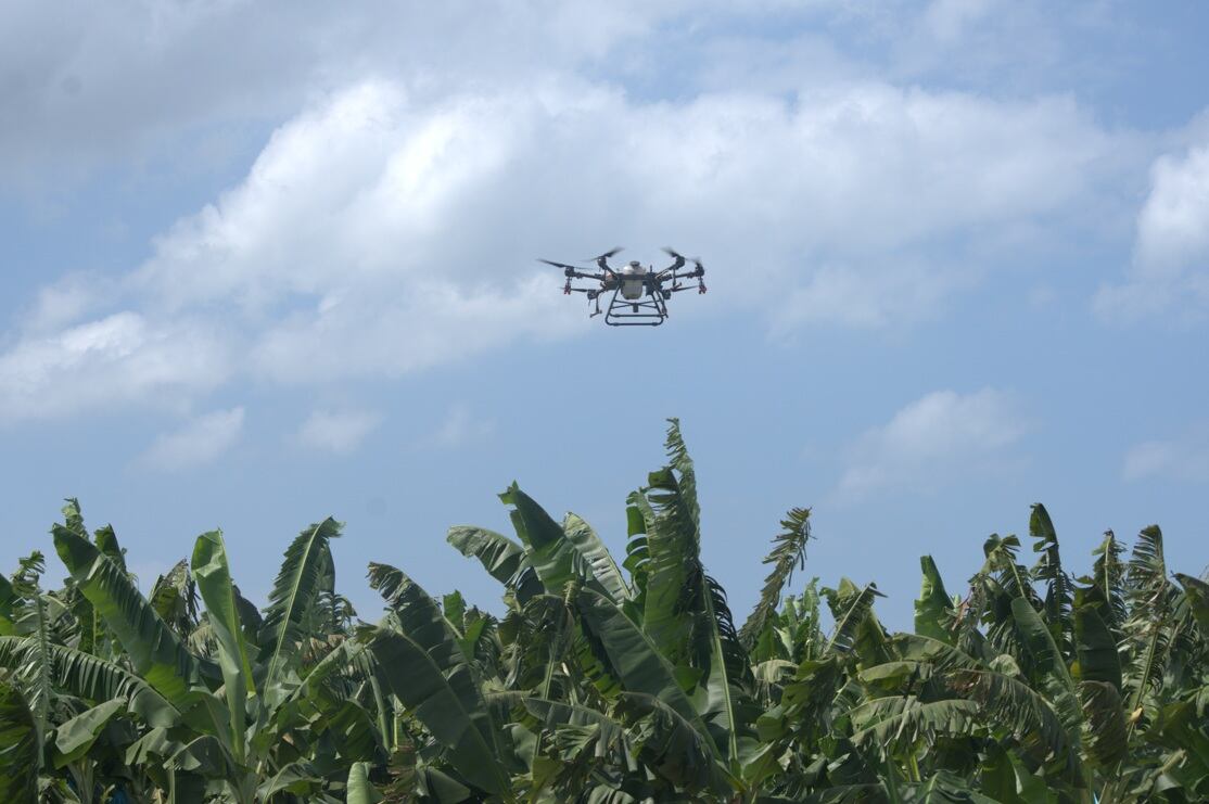 Con Control B, la compañía aporta a la sanidad vegetal de los cultivos a través de aspersión aérea con aviones y drones de última generación.