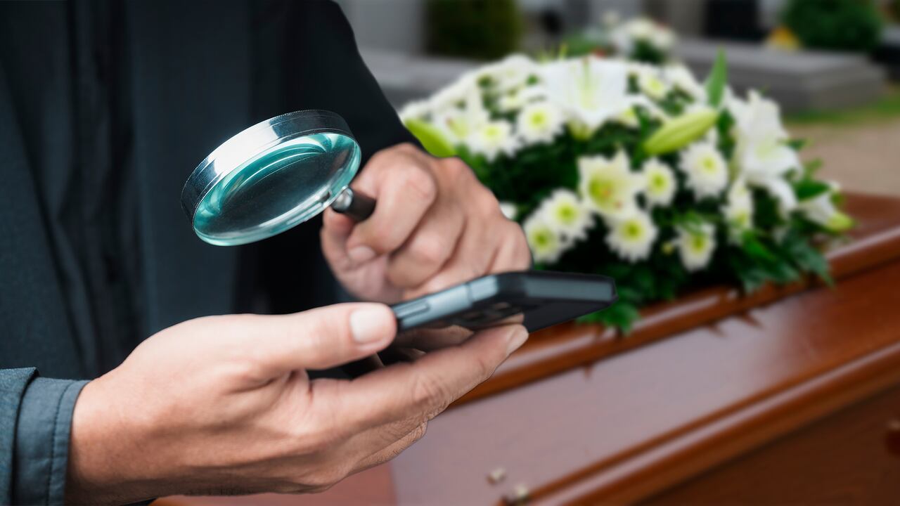 Investigación celulares