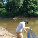 Científicos identificaron seis nuevas especies de peces en una de las áreas más conservadas de la Amazonia.