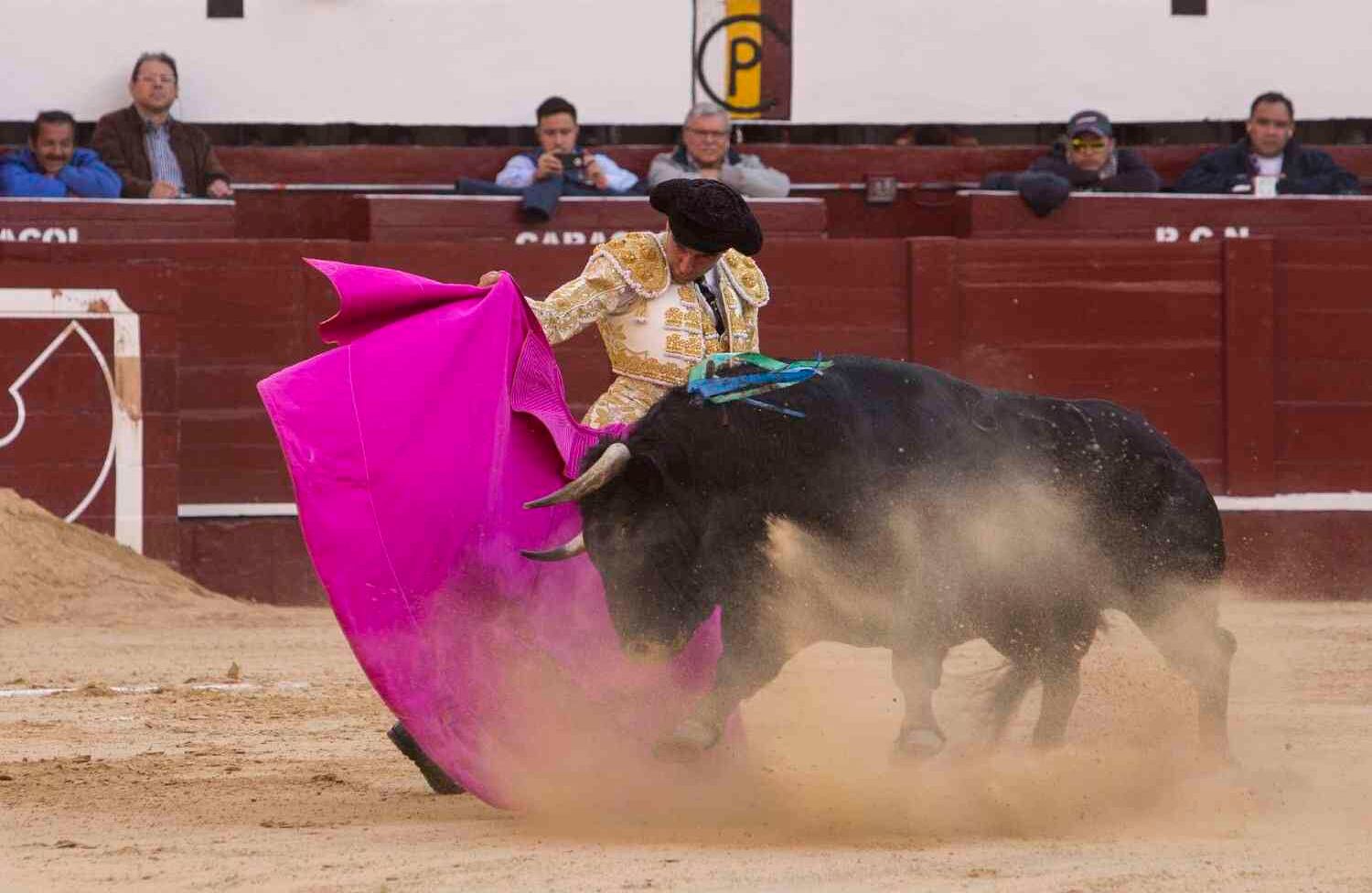 Foto: Juan Carlos Sierra