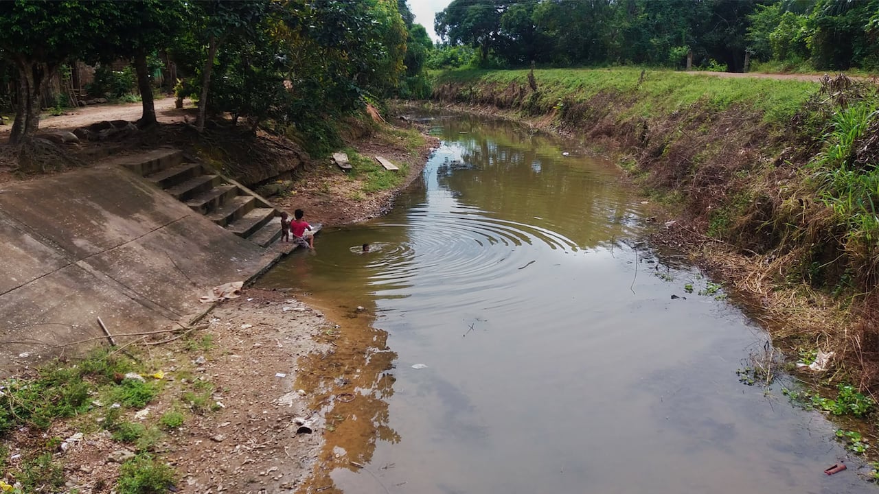 En María La Baja, una hectárea sembrada de palma de aceite requiere 5 mil metros cúbicos de agua durante tres meses.