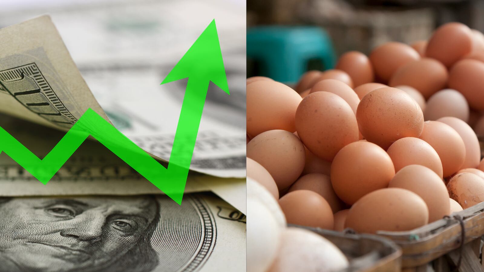 La nueva tendencia ante el precio de los huevos en EE. UU.